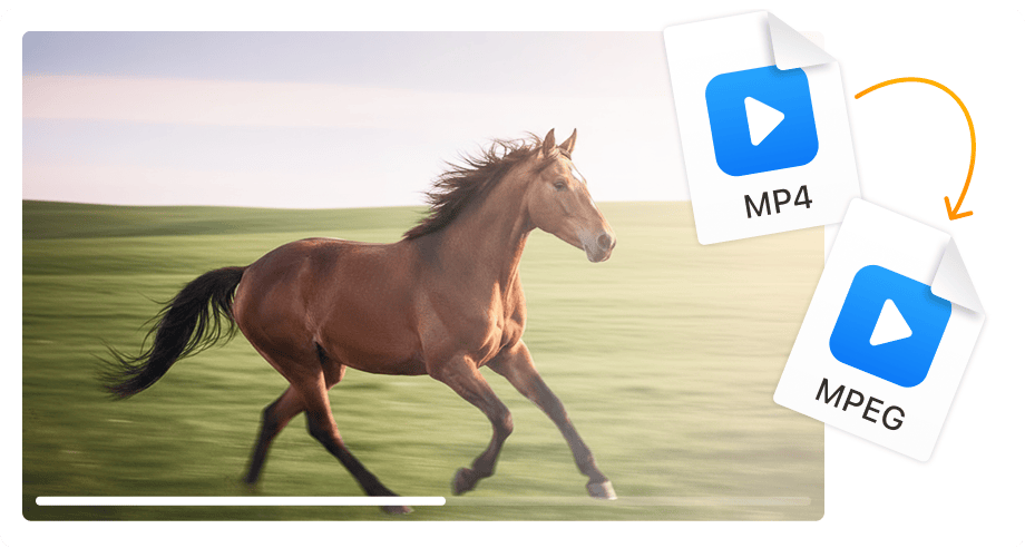 Ιδανικό για δημιουργία DVD